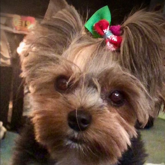 Meet your Posher, Vicki - Picture 4 of 5